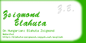 zsigmond blahuta business card